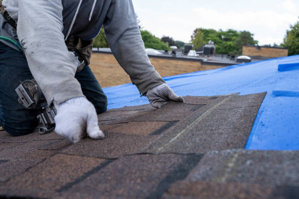 Best Storm Damage Roof Repair  in Plummer, ID