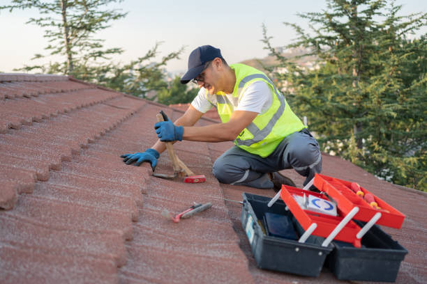 Best Roof Gutter Cleaning  in Plummer, ID